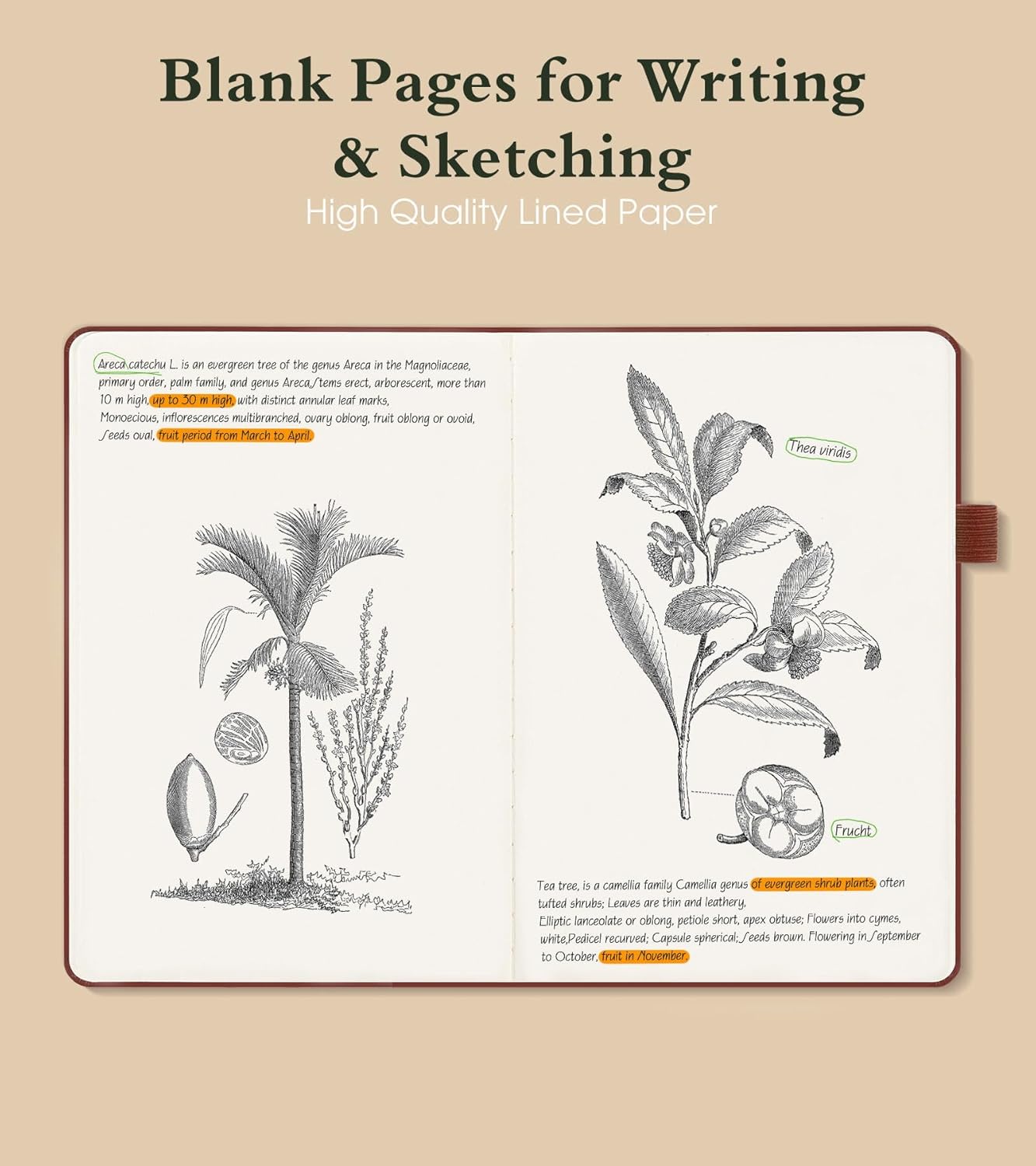 Blank Journal Notebook A5 Hard – обзор и цена Travel Notebook Journal